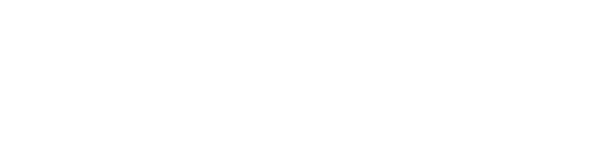 Mueen Haider LLC logo